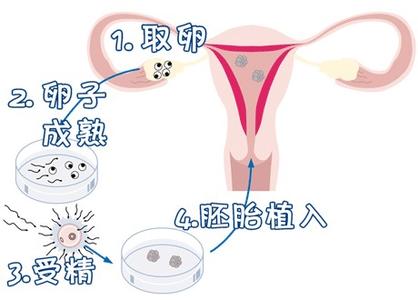 国医馆